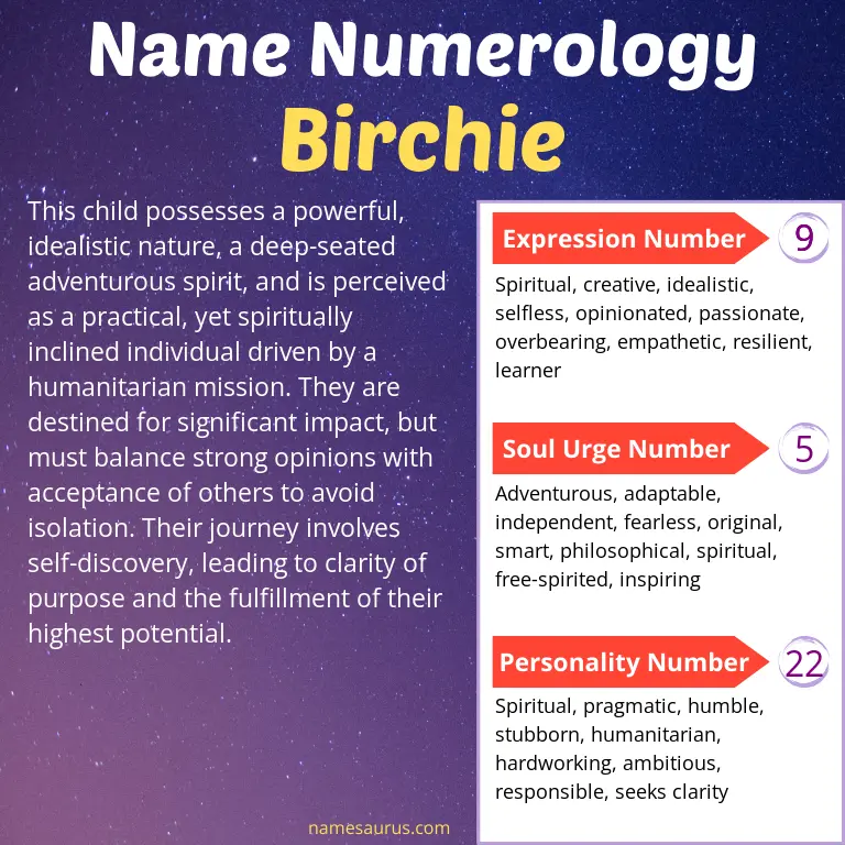 numerology of the name birchie.