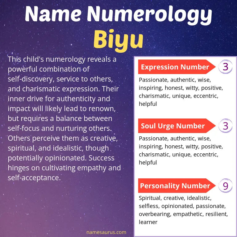 numerology of the name biyu.