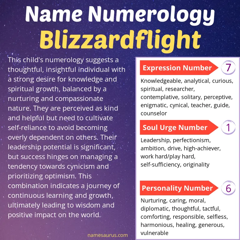 numerology of the name blizzardflight.