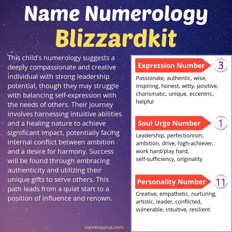 numerology of the name blizzardkit.