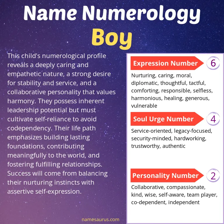 numerology of the name boy.