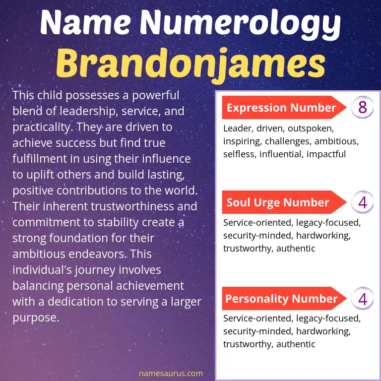 numerology of the name brandonjames.