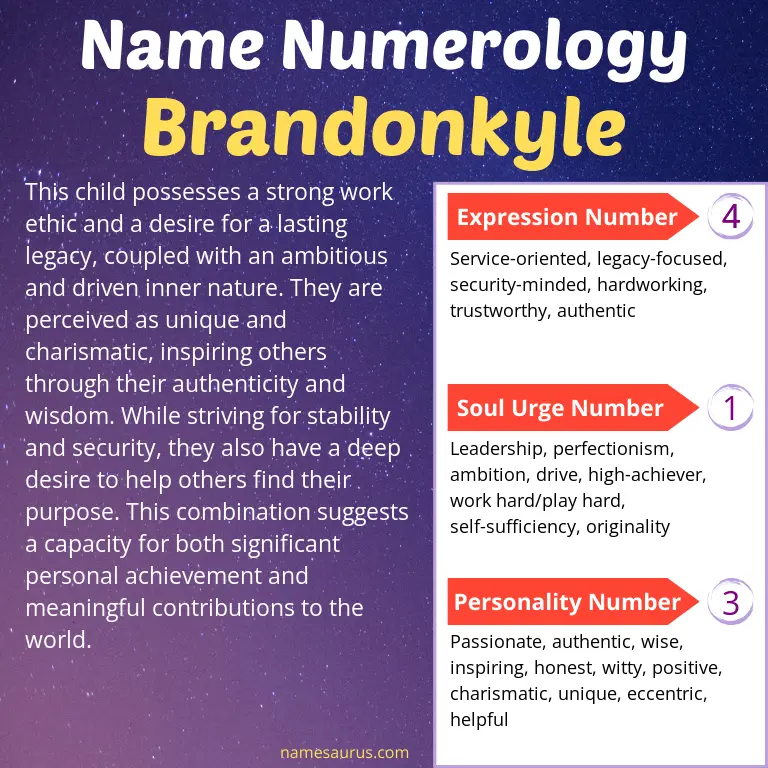 numerology of the name brandonkyle.