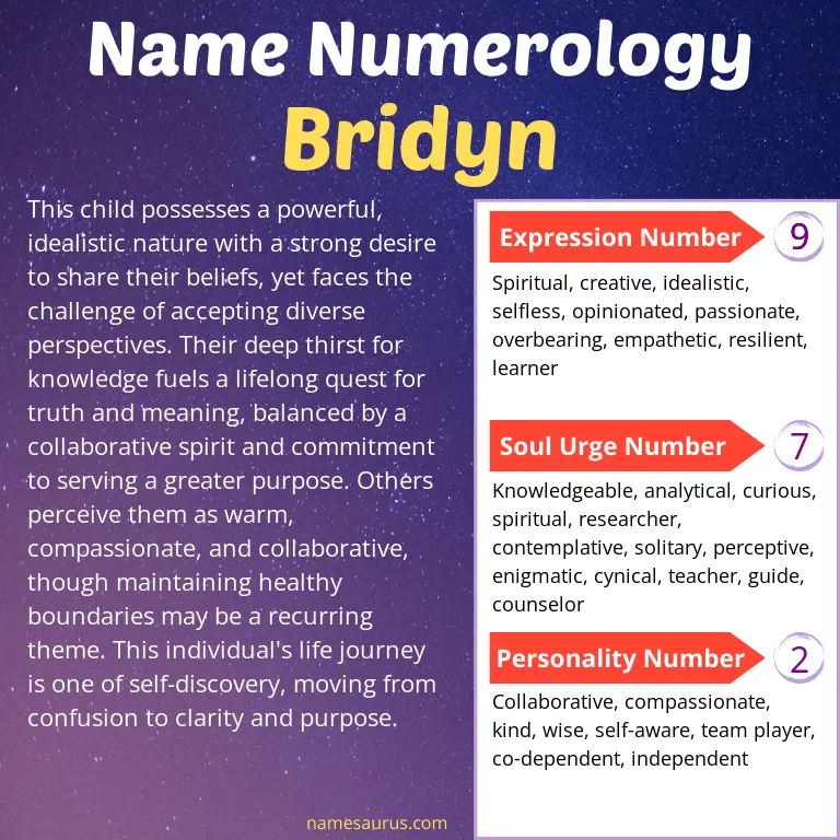 numerology of the name bridyn.