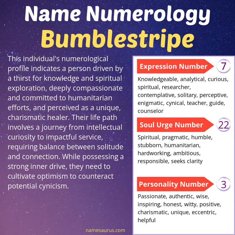 numerology of the name bumblestripe.