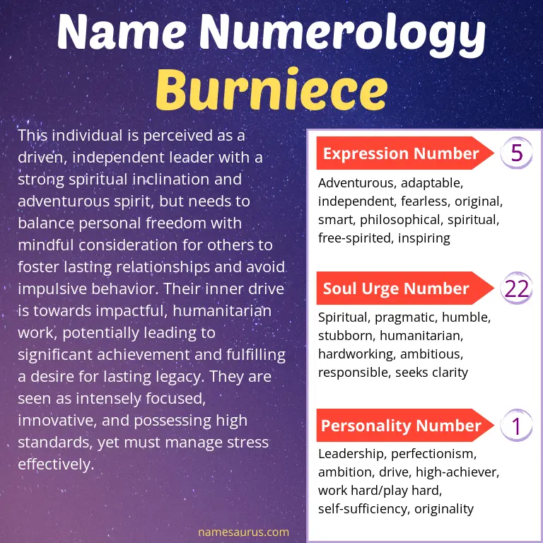 numerology of the name burniece.