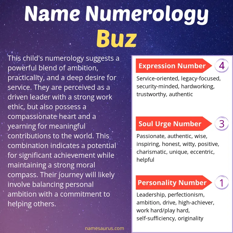 numerology of the name buz.
