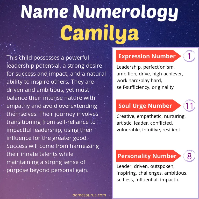 numerology of the name camilya.