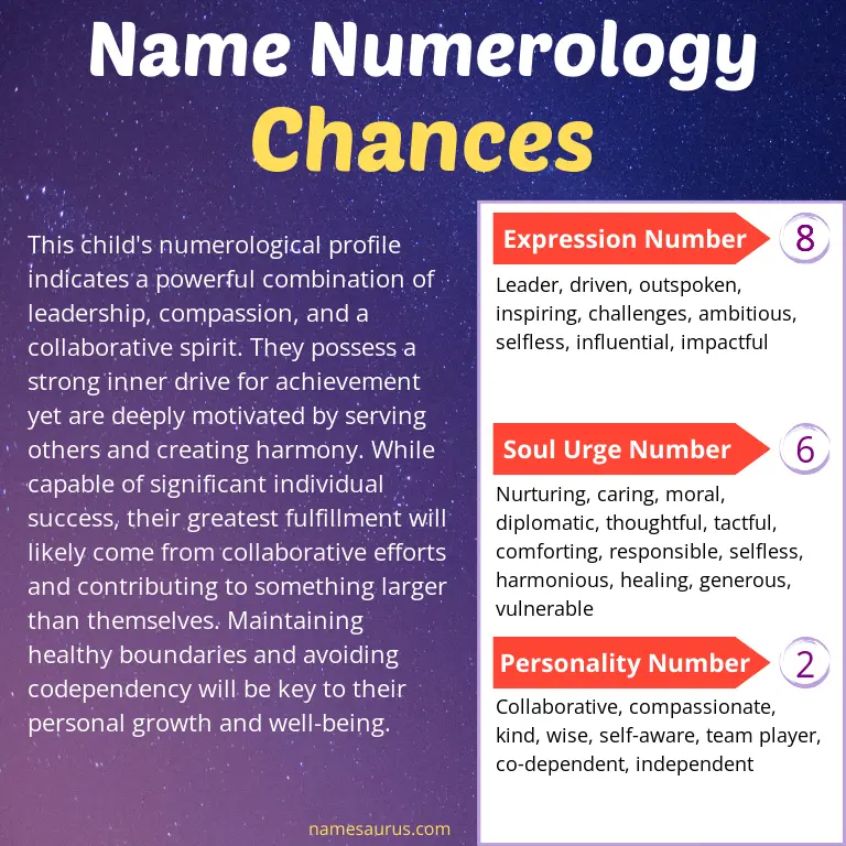 numerology of the name chances.
