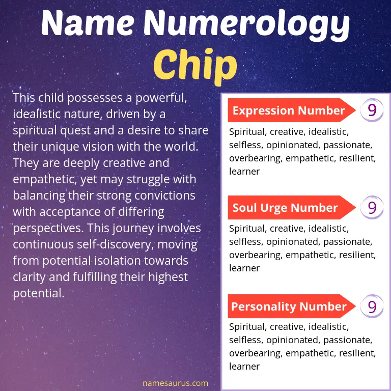 numerology of the name chip.