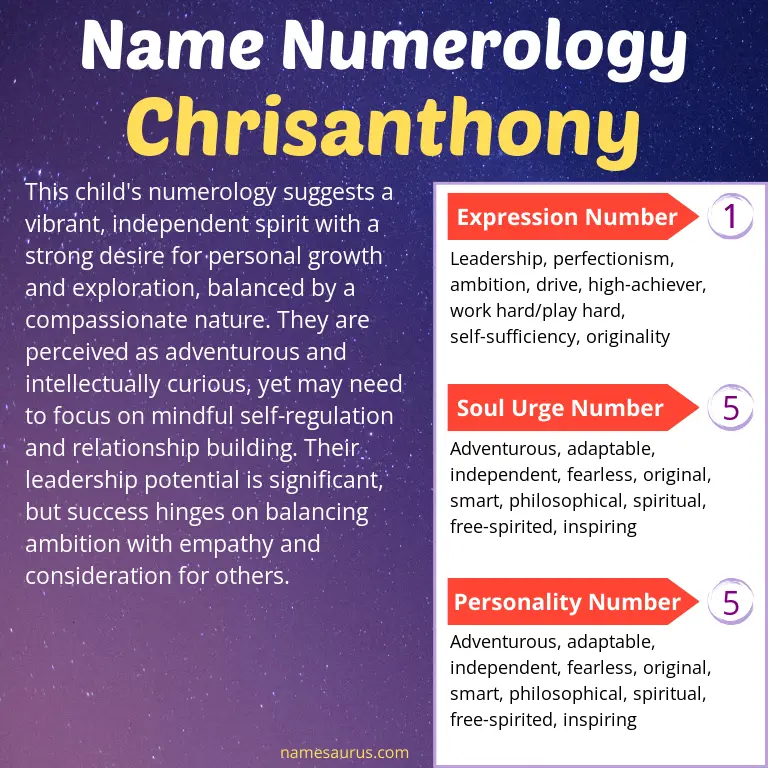 numerology of the name chrisanthony.