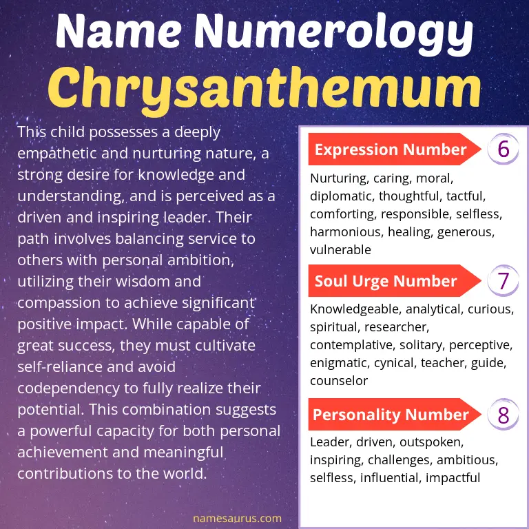 numerology of the name chrysanthemum.
