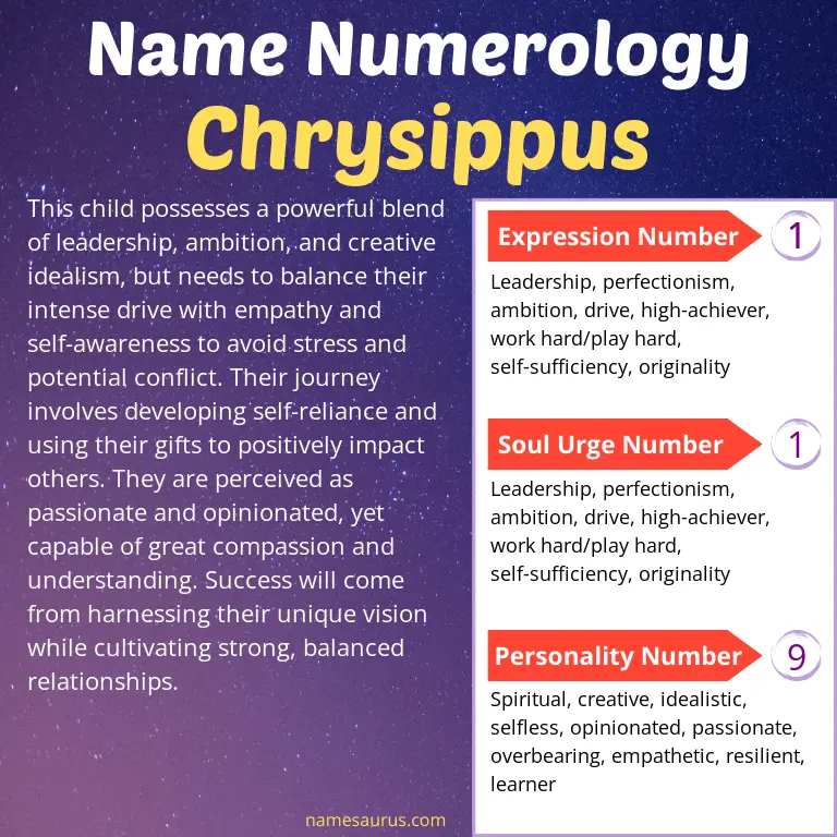 numerology of the name chrysippus.