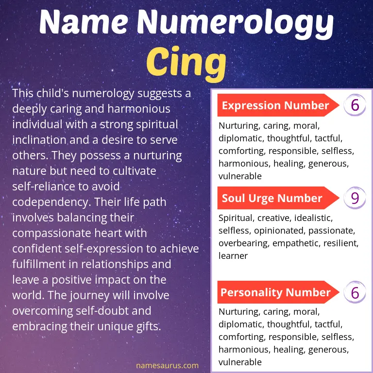 numerology of the name cing.