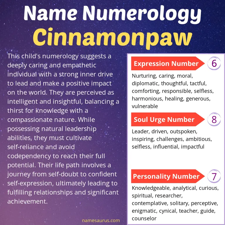 numerology of the name cinnamonpaw.