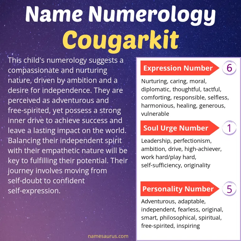 numerology of the name cougarkit.