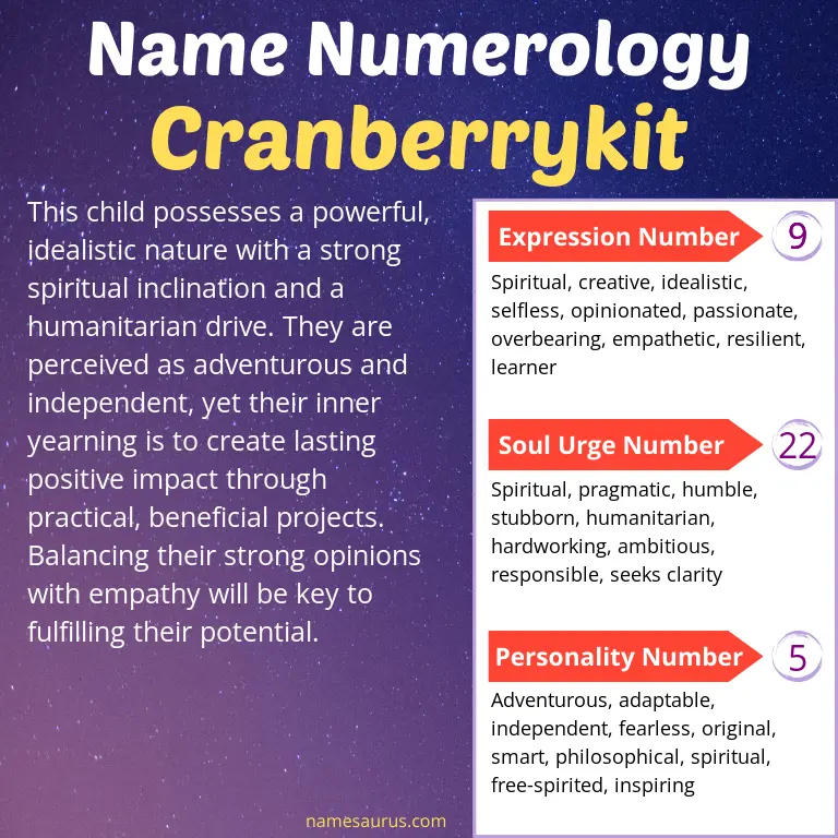 numerology of the name cranberrykit.