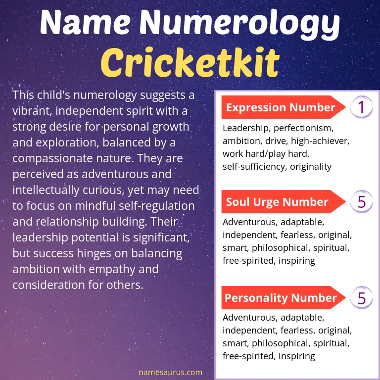 numerology of the name cricketkit.