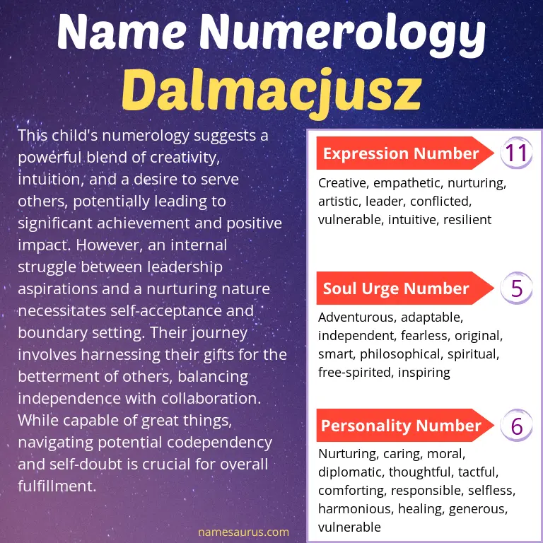 numerology of the name dalmacjusz.