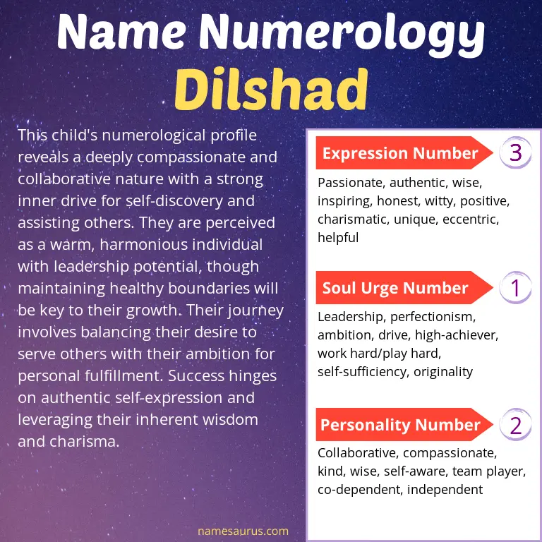 numerology of the name dilshad.