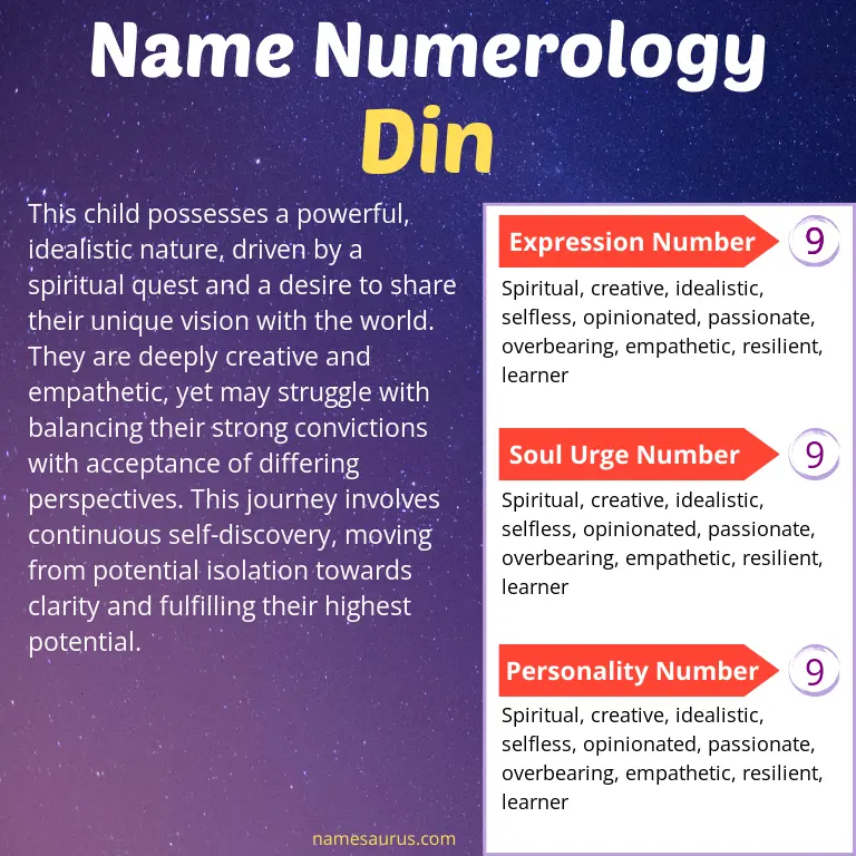 numerology of the name din.