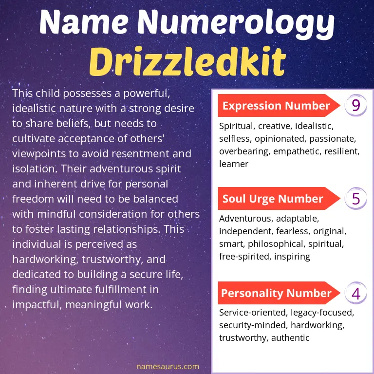 numerology of the name drizzledkit.