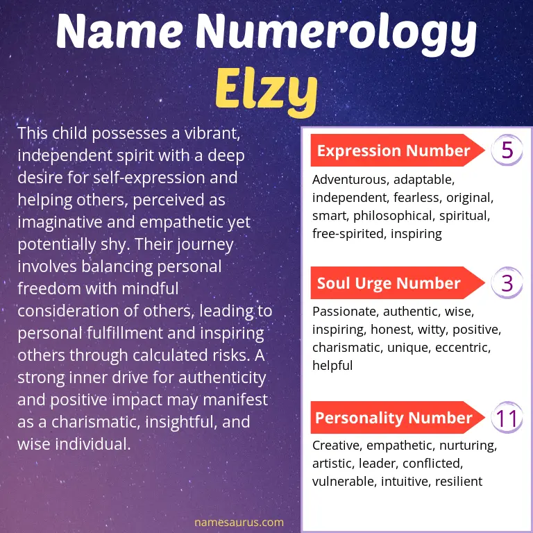 numerology of the name elzy.