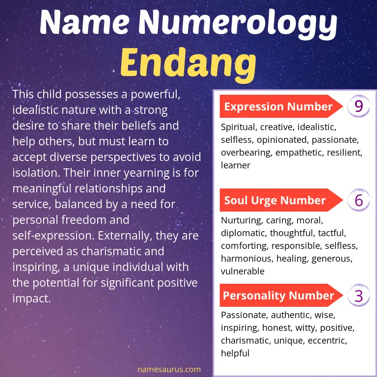 numerology of the name endang.