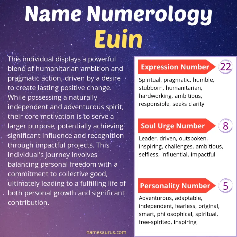 numerology of the name euin.