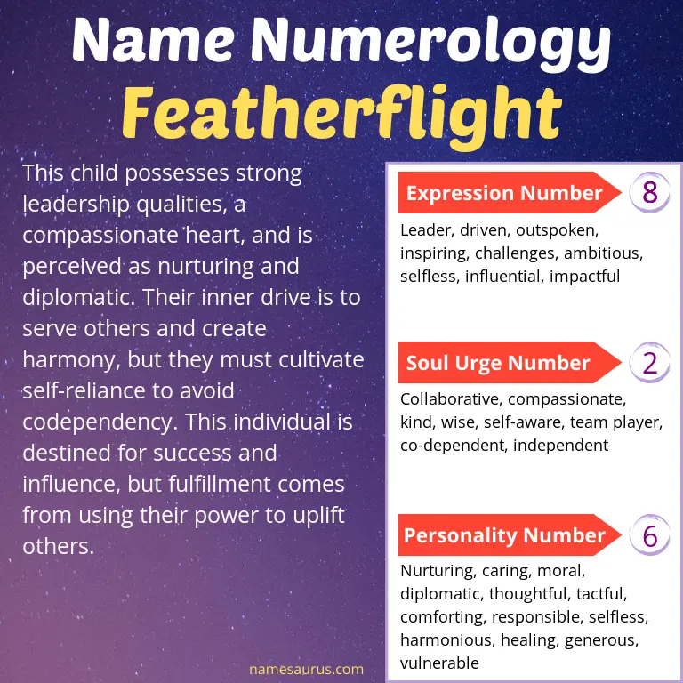 numerology of the name featherflight.