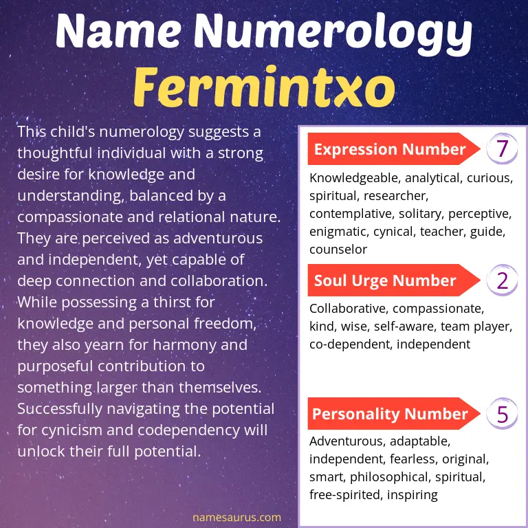 numerology of the name fermintxo.