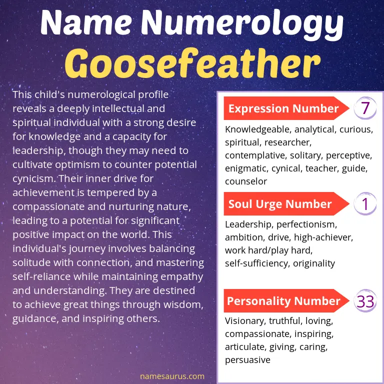 numerology of the name goosefeather.