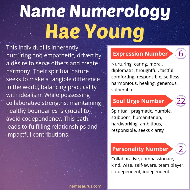 numerology of the name hae young.