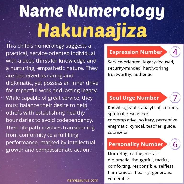 numerology of the name hakunaajiza.