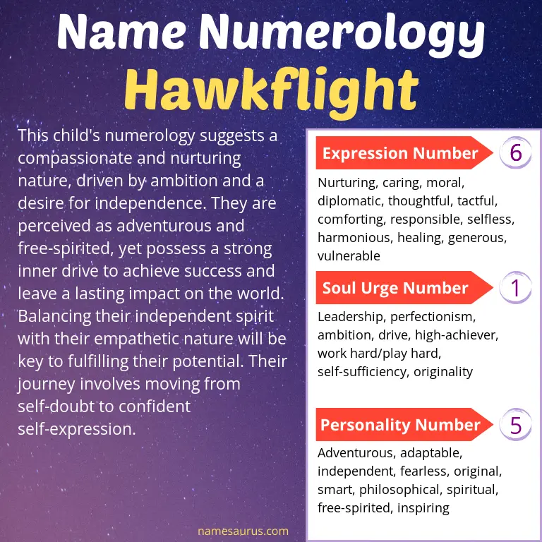 numerology of the name hawkflight.