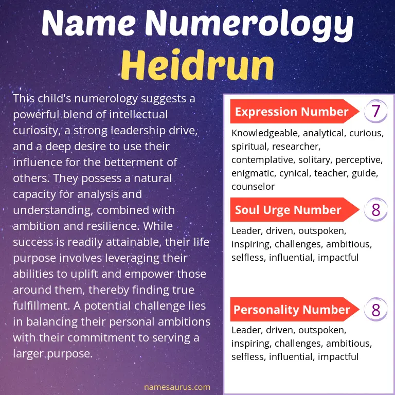 numerology of the name heidrun.