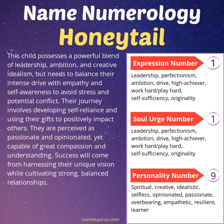 numerology of the name honeytail.