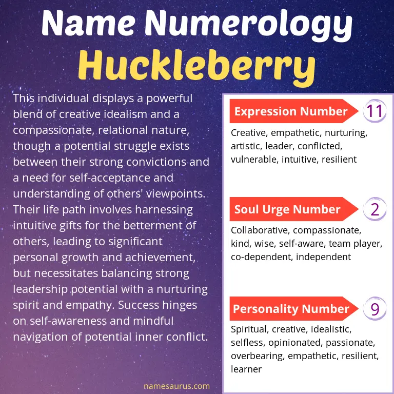 numerology of the name huckleberry.