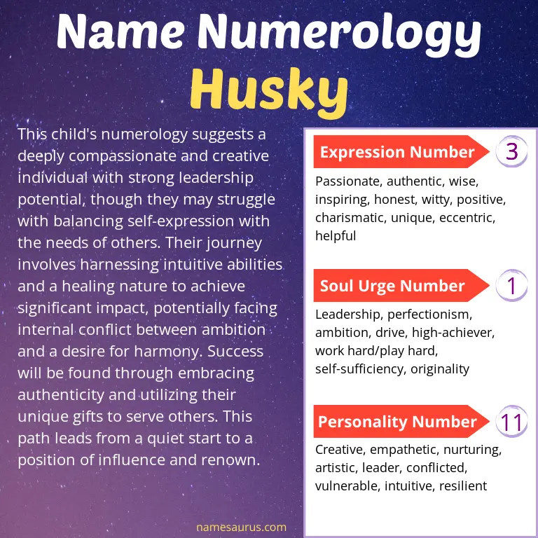 numerology of the name husky.