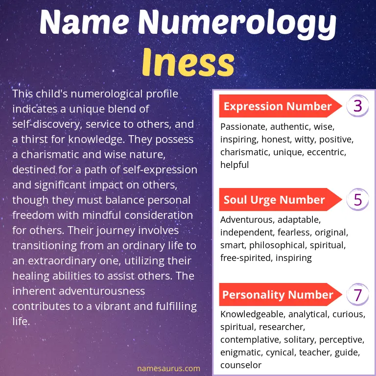 numerology of the name iness.