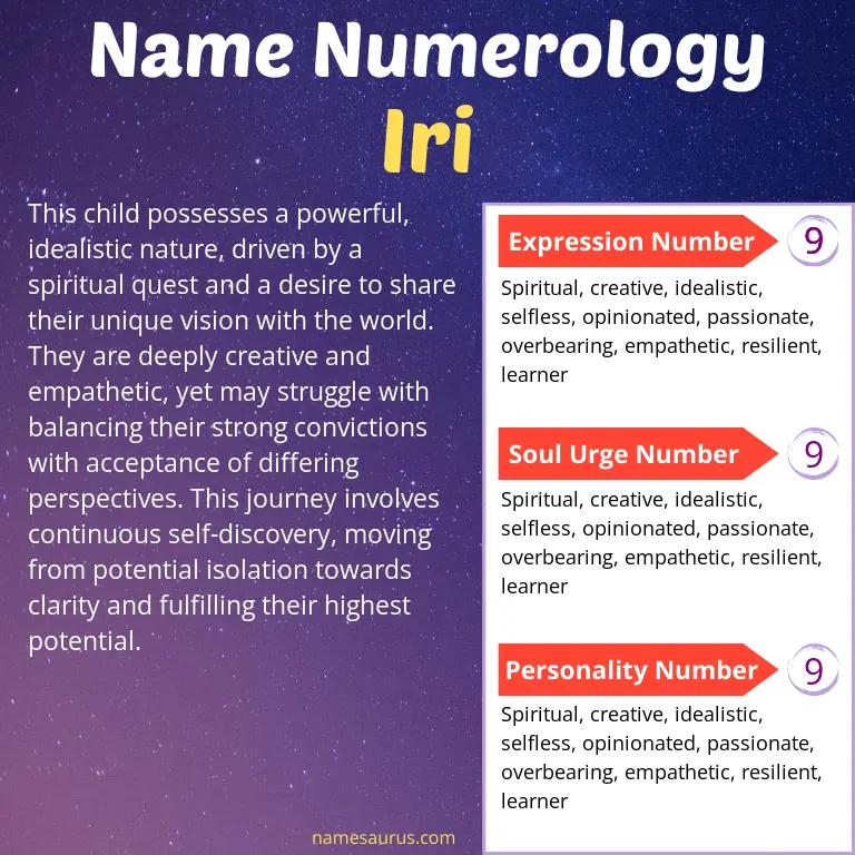numerology of the name iri.