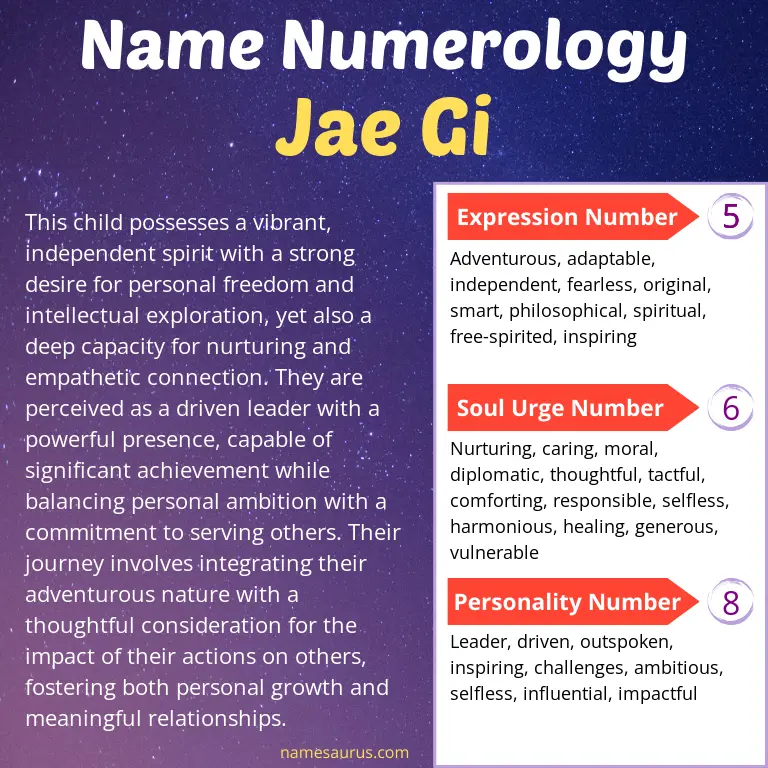 numerology of the name jae gi.