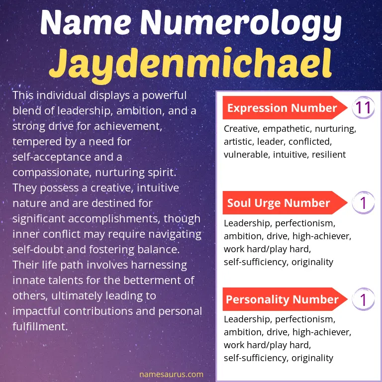numerology of the name jaydenmichael.