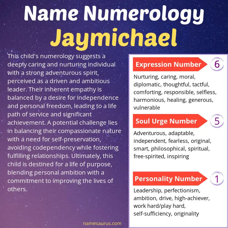 numerology of the name jaymichael.