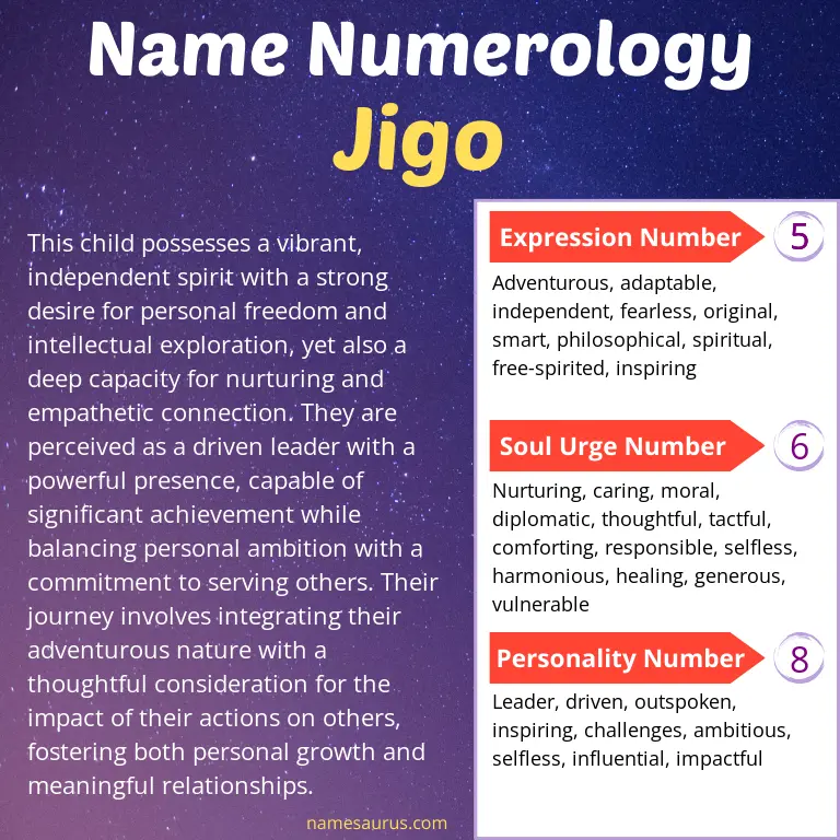numerology of the name jigo.