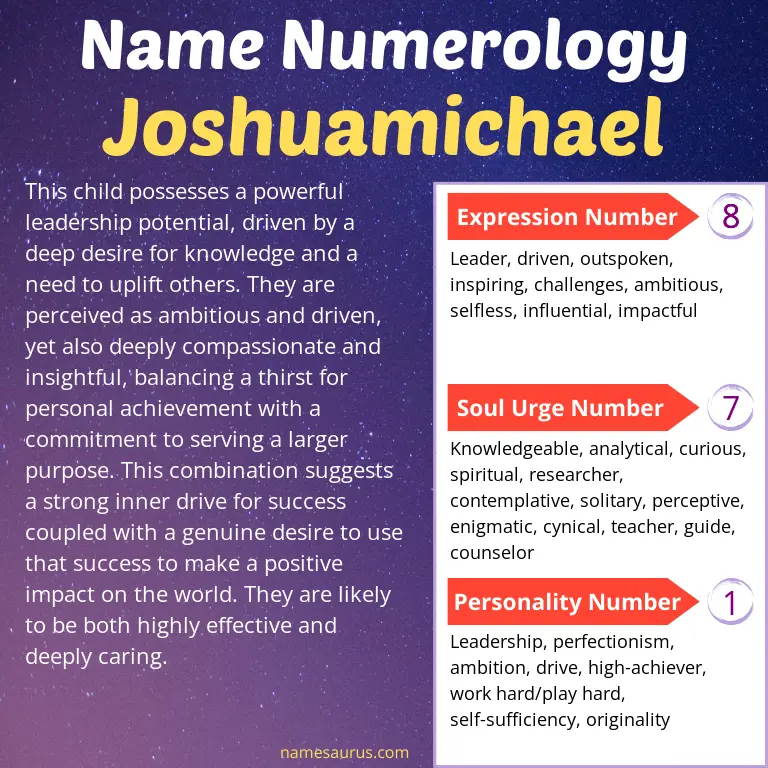 numerology of the name joshuamichael.