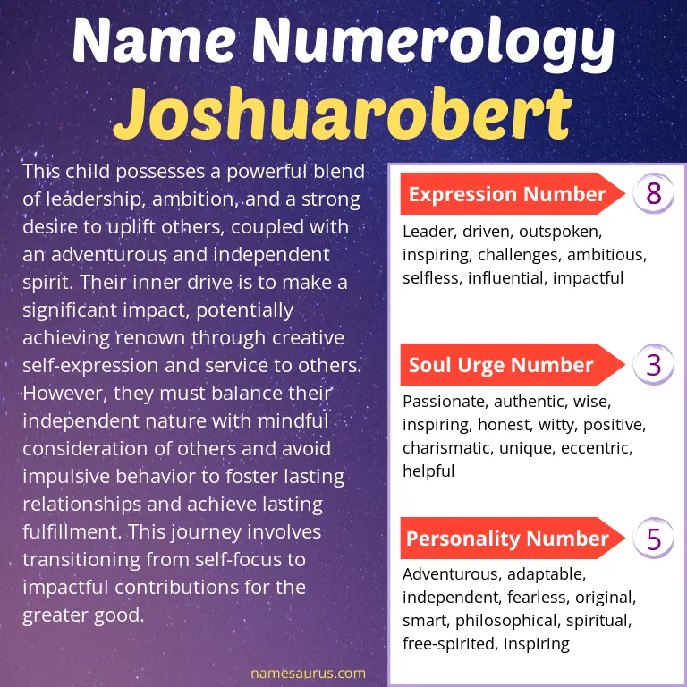 numerology of the name joshuarobert.