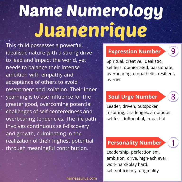 numerology of the name juanenrique.