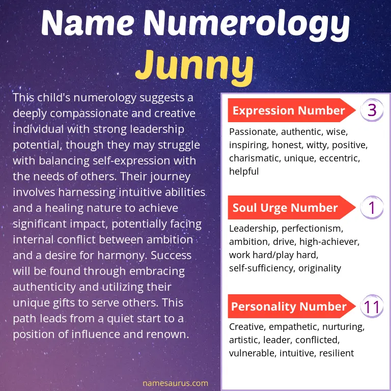 numerology of the name junny.