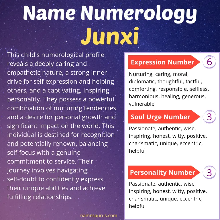numerology of the name junxi.